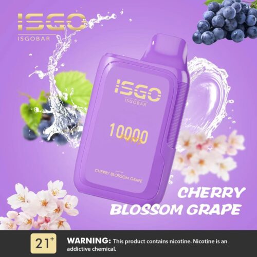Isgo Bar 10000 Puffs 50mg Disposable Vape - Image 14