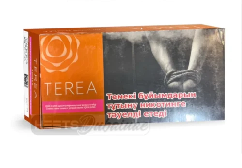 IQOS Terea Uzbekistan Stick 200Pcs/Pack - Image 2