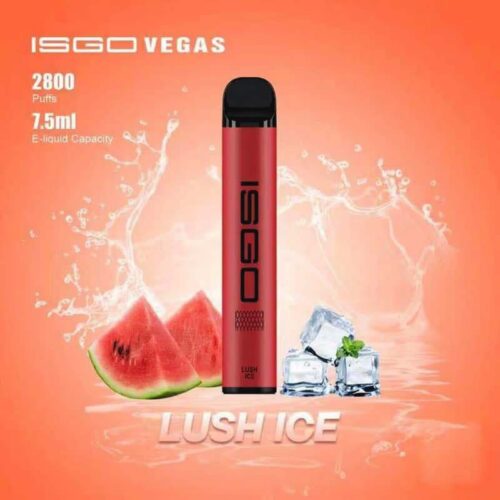 Isgo Vegas Disposable Vape 2800 Puffs in UAE