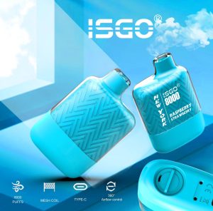 Isgo New York 8000 Puffs Disposable Vape In Dubai