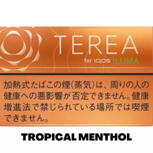 IQOS Terea Japan Cigarette 18 Flavors In UAE - Image 15