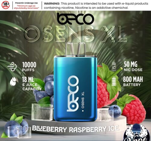 Blueberry-Raspberry-Ice-Beco