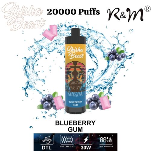 R&M Shisha Beast 20000 Puffs Blueberry Gum