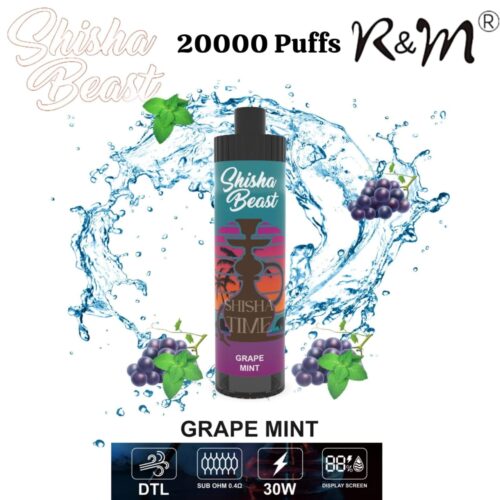 R&M Shisha Beast 20000 Puffs Grape Mint