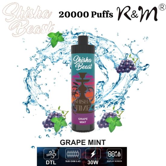 R&M Shisha Beast 20000 Puffs Grape Mint