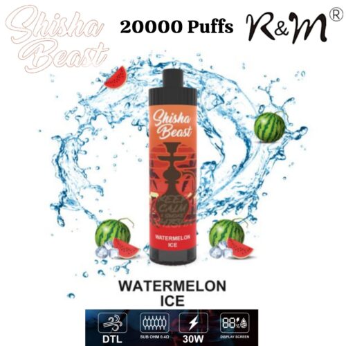 R&M 20000 Puffs Watermelon Ice