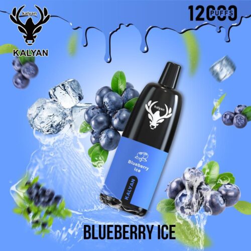 Kalyan 12000 Puffs Disposable Vape Blueberry Ice