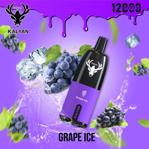 Kalyan 12000 Puffs Disposable Vape Grape Ice