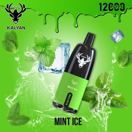 Kalyan 12000 Puffs Disposable Vape Mint Ice