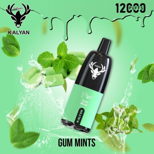 Kalyan Por Disposable 12000 Puffs Gum Mints