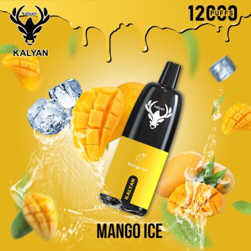 Kalyan Por 12000 Puffs Mango Ice Disposable