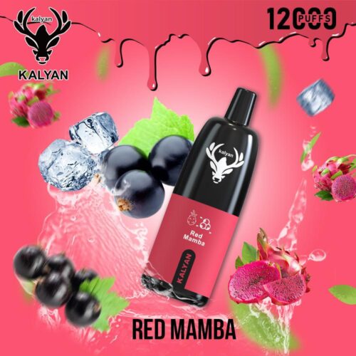 Kalyan Por 12000 Puffs Red Mamba