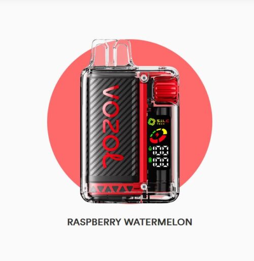 Raspberry Watermelon Vozol Vista 20000 Puffs