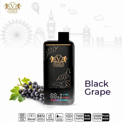 Vicig Charlie 15000 Puffs Disposable Vape Black Grape