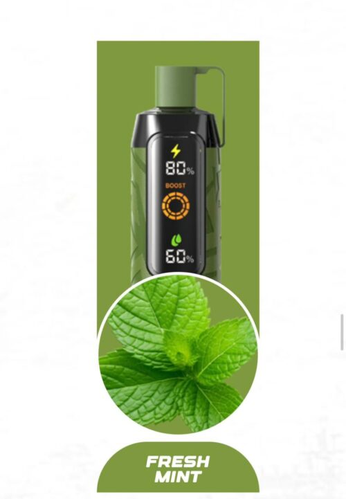 Nerd Cloud Disposable Vape 20K Fresh Mint