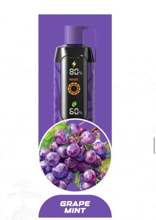 Nerd Cloud Disposable Vape 20K Grape Mint