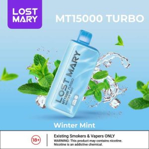 Winter Mint Lost Mary