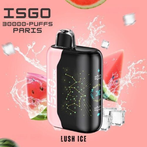 Isgo Paris X 30000 Puffs Disposable Vape 50mg - Image 7