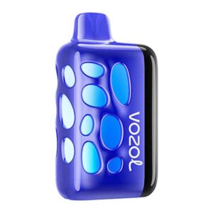 Blueberry Ice Vozol Rave 40000