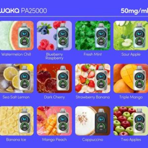 Buy Waka PA25000 50mg Puffs Disposable Vape In UAE