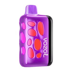 Grape Ice Vozol Rave 40000