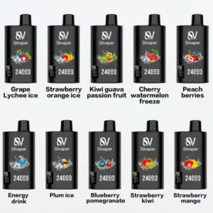 Silvaper 24000 Puffs Flavors List 2