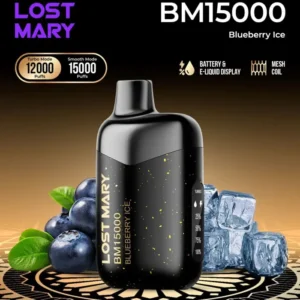 Blueberry Ice Lost Mary BM15000