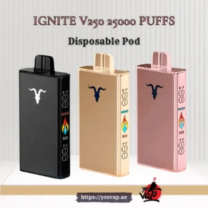 Ignite V250 25000 Puffs Disposable Vape 50mg in UAE