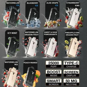 Ignite V250 25000 Puffs disposable Pod