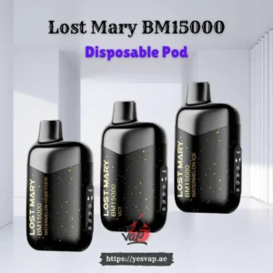 Lost Mary BM15000 Disposable Vape for an Alternative to Cigarettes