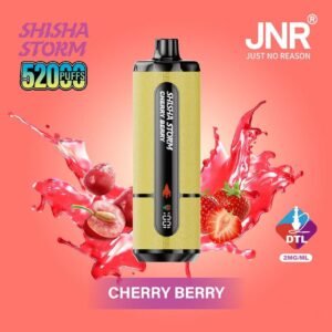 Cherry Berry JNR Shisha Storm 52000 Puffs