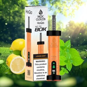 HoQa Hok Clouds 80K Lemon Mint
